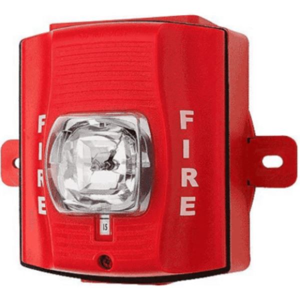 WhatsApp Image 2025-03-22 at 22.21.21